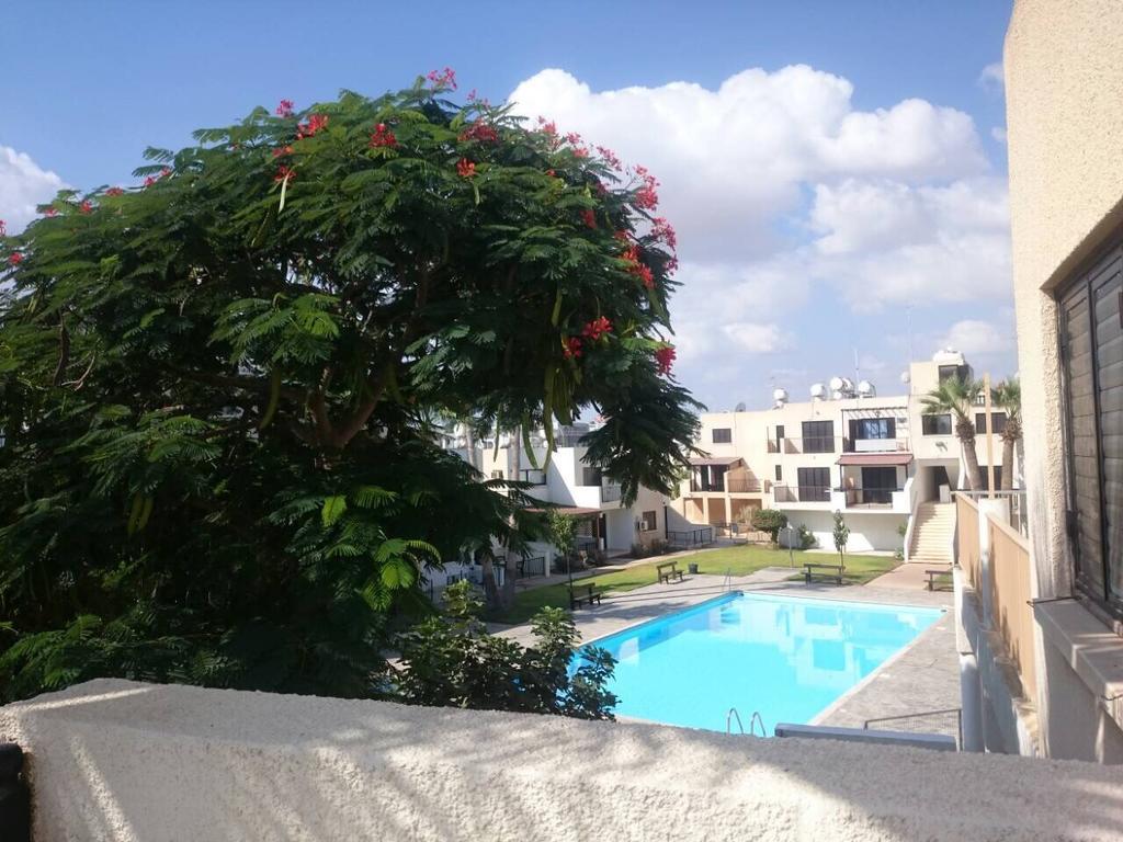 Theodoros Apt. 408 プロタラス エクステリア 写真