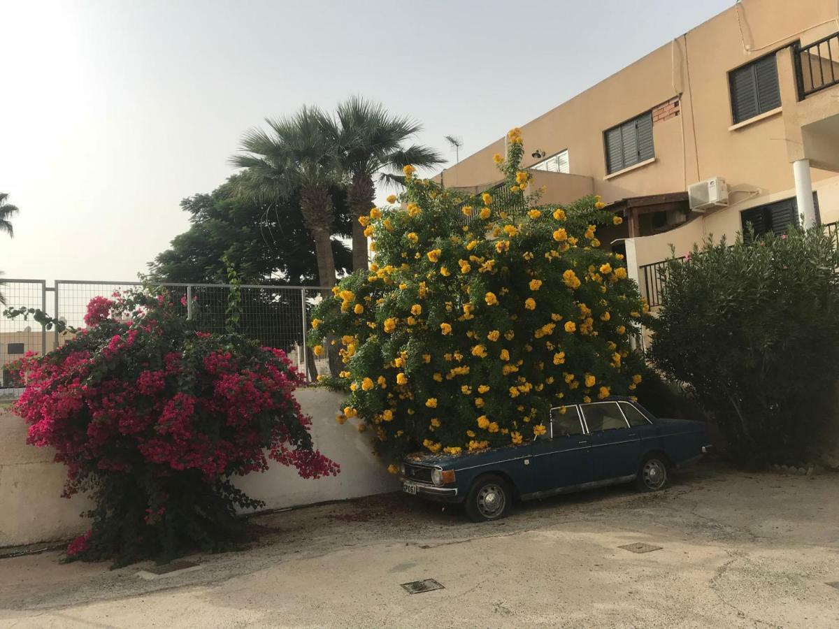 Theodoros Apt. 408 プロタラス エクステリア 写真